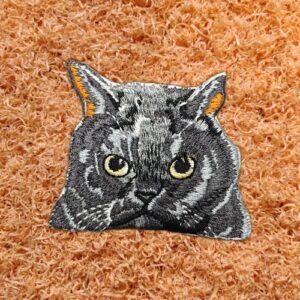 Grijze kat