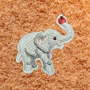 Olifant met een appel